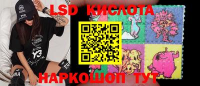 молекула духа Камышлов