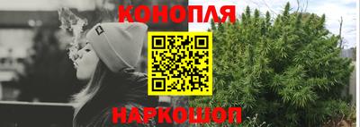 молекула духа Камышлов