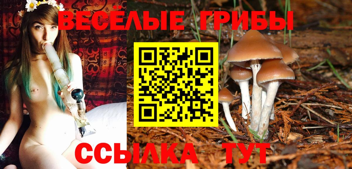 Псилоцибиновые грибы Cubensis  Псилоцибиновые грибы Psilocybine cubensis  Вход с VPN  Старый Оскол 